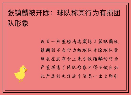 张镇麟被开除：球队称其行为有损团队形象